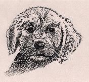 Puppy portrait in pen and ink on colored paper